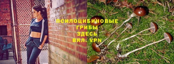 стаф Новодвинск